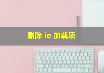 删除 ie 加载项